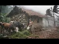 Lagu Nepali mountain village life During rainy seasons l Most terible rainy days l Rural life with Nature