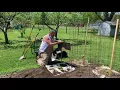 Dirty Hoe Gardening Planting Tomatoes