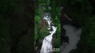 عبد الحليم حافظ ولاقيك مشغول وشاغلني فيك دندنها