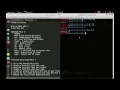 Hacking Bash Scripting Basic Part 1