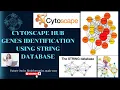 Cytoscape hub genes STRING Database Gene Interaction Networks Publications