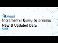 Leverage Apache Hudi incremental query to process new updated data