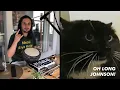 Download Lagu Oh Long Johnson x The Kiffness (Talking Cat Live Looping Reggae Remix)