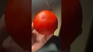 من فوائد الطماطم 