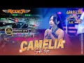 Download Lagu CAMELIA - Septi Ayu ARABELLA MUSIC Live Geritan - Pati - Jateng #REGERgeneration