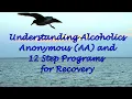 Understanding Alcoholics Anonymous AA and 12 Step Programs for Recovery