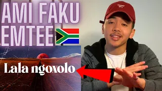ami faku lala ngoxolo ft emtee official lyric video american reaction south african music 