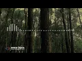Download Lagu Runaway - Instrumen Musik Menegangkan untuk Backsound Video Tegang