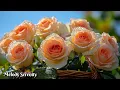 Download Lagu PEMULIHAN SISTEM SARAF🌺Musik untuk Kedalaman Jiwa🌿Melodi Terbaik oleh Sergey Grischuk