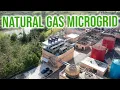 Puerto Rico s Island Mode Microgrid