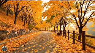 Красивая музыка Осень Романтическая расслабляющая музыка Самая красивая мелодия на свете 