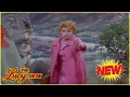 Download Lagu The Lucy Show [2025]🌲🌸 💥Lucy Buys a Sheep | Timeless American Sitcom Comedy TV Series
