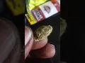 2mg S903 Hulk bar made by Dava Inc review plus zkittles pics 18yrs