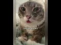 Download Lagu Thank God you're safe #cat #funny #fyp #meme #georgieebom MP3