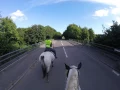 GoPro horse riding