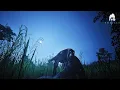 Download Lagu Rex Horde Test Experience | The Isle Evrima | Tyrannosaurus Rex Gameplay
