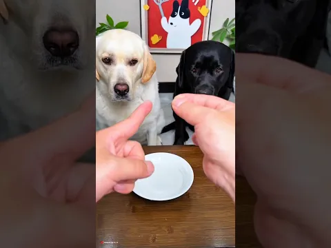 #Luckygameplay