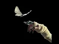 Sweet Disposition (ARTBAT Remix) - The Temper Trap