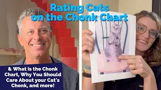 breaking down the chonk chart