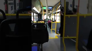                     دندنها