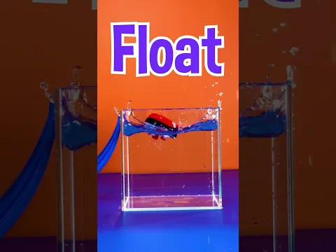 Let's see if it sinks or floats ! #blippi #shorts #toys #games #sinkorfloat