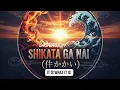 SHIKATA GA NAI (仕方がない) | IT IS WHAT IT IS - SAGISAG7