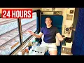 24 Hours on Amtrak Sleeper Train Orlando to New York City Silver Meteor