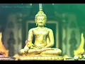 Download Lagu 🎶 Buddhang Namami 🙏 Dhammang Namami 🙏 Sanghang Namami 🎶