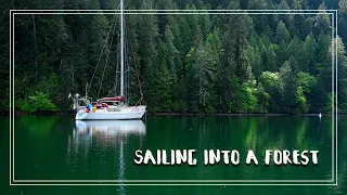 Sailing into a Forest- A Nature Oasis in the City | Season 4 Episode 14 | The Wayward Life