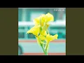 Download Lagu Aishiteru