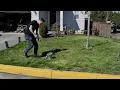 St Helens Stormwater Pollution Prevention