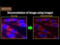 Deconvolution of image using ImageJ
