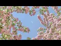 [Vietsub] Cry Out Loud - Roy Kim | 크게 울어라 - 로이킴