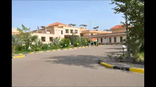 شركة الفارس العامة دندنها