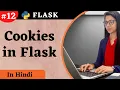 cookies in flask with example flask tutorial Hindi