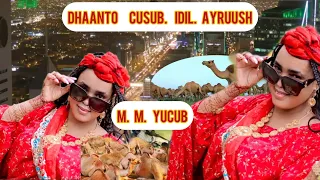DHAANTO CUSUB IDIL AYRUUSH MAMULKA MAGALADA YUCUB NEWS VIDEO HD 2025  DHAANTO CUSUB IDIL AYRUUSH MAMULKA MAGALADA YUCUB NEWS VIDEO HD 2025