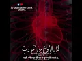 Download Lagu Surah Al-Isra' | Verse 85 #Quran