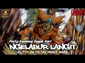 Lagu DJ NGELABUR LANGIT PARTY JEDAG JEDUG SOGOK ALA KERI KERI 