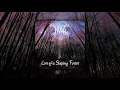 Download Lagu Null - Lore of a Sleeping Forest (Full Album)