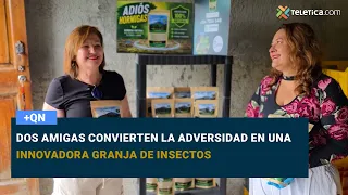 Dos amigas convierten la adversidad en una innovadora granja de insectos