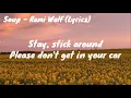 Soup - Remi Wolf (Lyrics)
