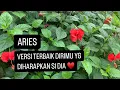 Download Lagu ♥️ARIES, SEPERTI APA VERSI TERBAIKMU YG DIA INGINKAN SAAT INI #lovelife #lovereading #tarotputrisolo