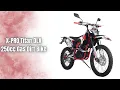X-PRO Titan DLX 250cc Dirt Bike Review Zongshen Engine Power Big 21 18 Wheels Beast