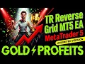TR Reverse Grid MT5 EA Backtest MetaTrader 5 Trading 2026