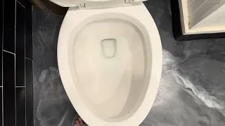 YT Second - 2023 Project Source Danville Touchless Toilet Flushes