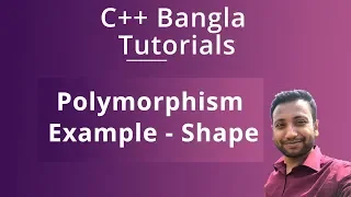 C Bangla Tutorials 87 Polymorphism Example - Shape