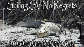 E39 – Back to Hinchinbrook, Fishing With Crocodiles