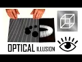 Scanimation Animated Optical Illusions