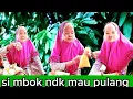 Download Lagu SI MBOK NGAK MAU PULANG DARI RUMAH NYA PAK GENDUT LURR