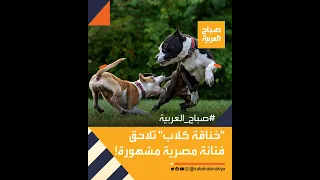 خناقة كلاب تلاحق فنانة مصرية مشهورة 